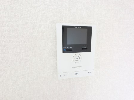 ルアナ その他1