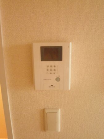 グレイスリーフ  その他4