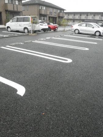 グレイスリーフ  その他5