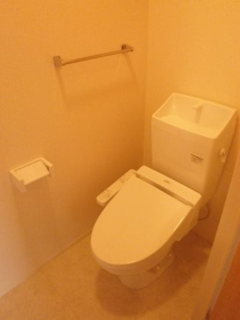 ルピナス その他1