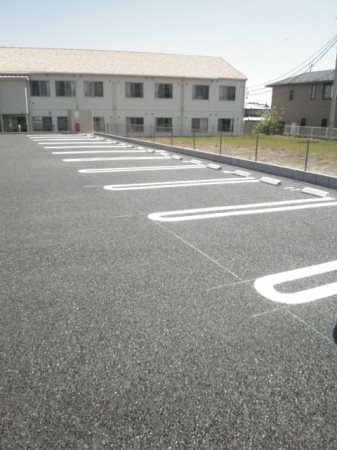 ルピナス その他3