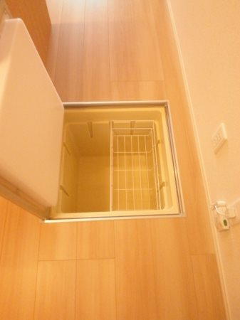 ルピナス その他5