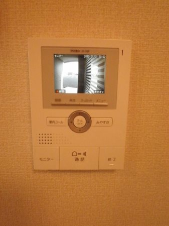 ルピナス その他6