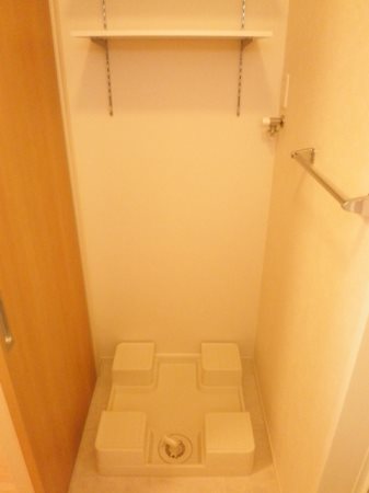 ルピナス その他7