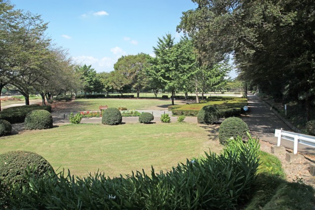 ジュネスなかじま 周辺画像5