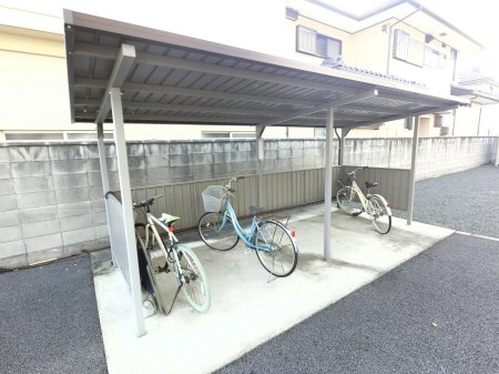 シュシュ その他外観4