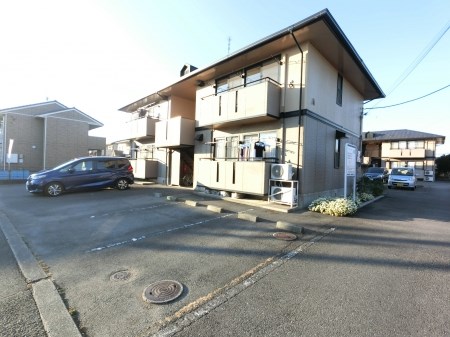 パミドールA その他外観5