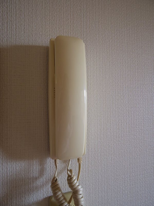 ヴィレッジ関根 その他5