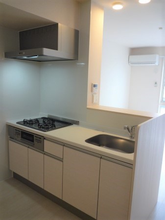 グランメゾン日吉  キッチン