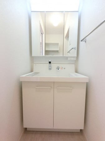 ルビーA  その他2