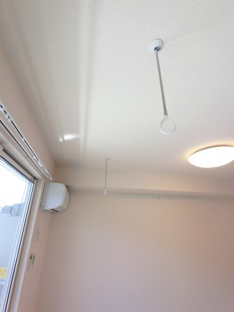 ルビーA  その他5