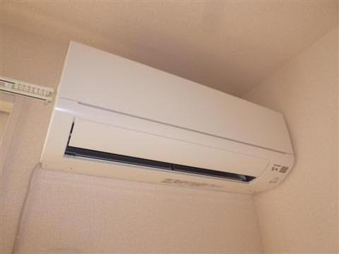 グレイスリーフ  その他5