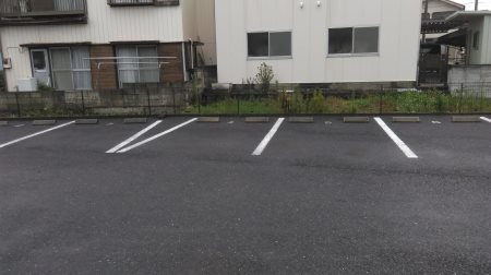 フィーノB  その他1