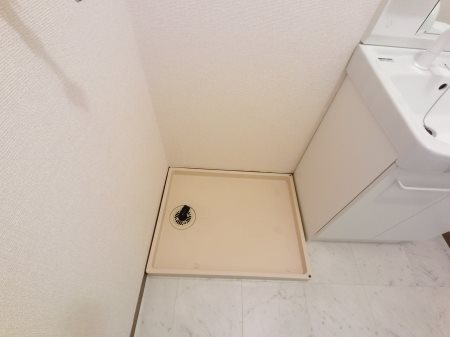 ルビナスⅢ その他2