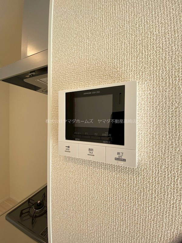 サラ　スリール その他5