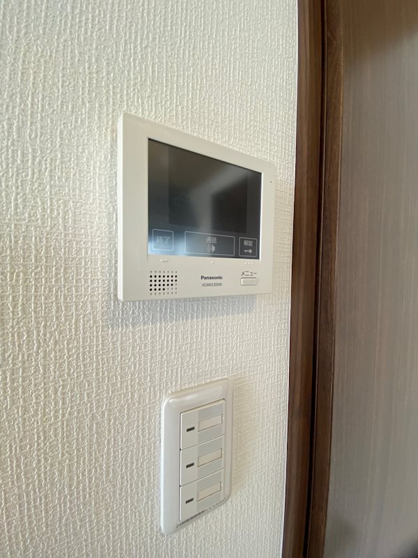 マデラシトリン その他3