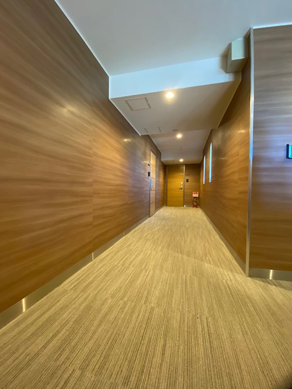 マデラシトリン その他外観5