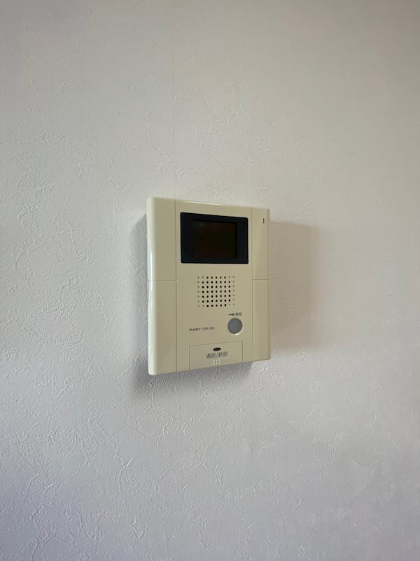 アン・フレメゾン その他6