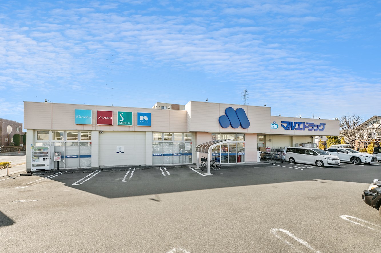 アン・フレメゾン 周辺画像2