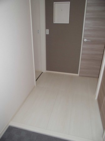 グラン・ブルーエスターテ矢中 玄関