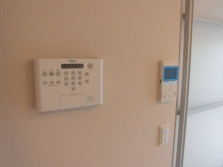 アスター その他1