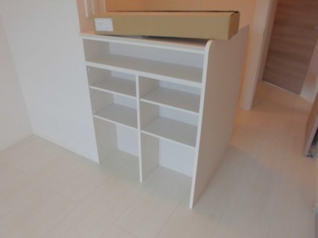 アスター その他4