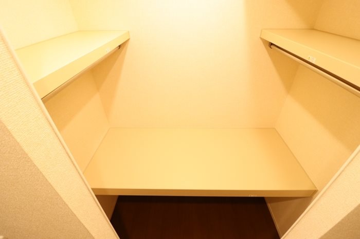 クラーレY その他2