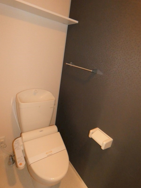 モン　シュシュ　カツラ その他3