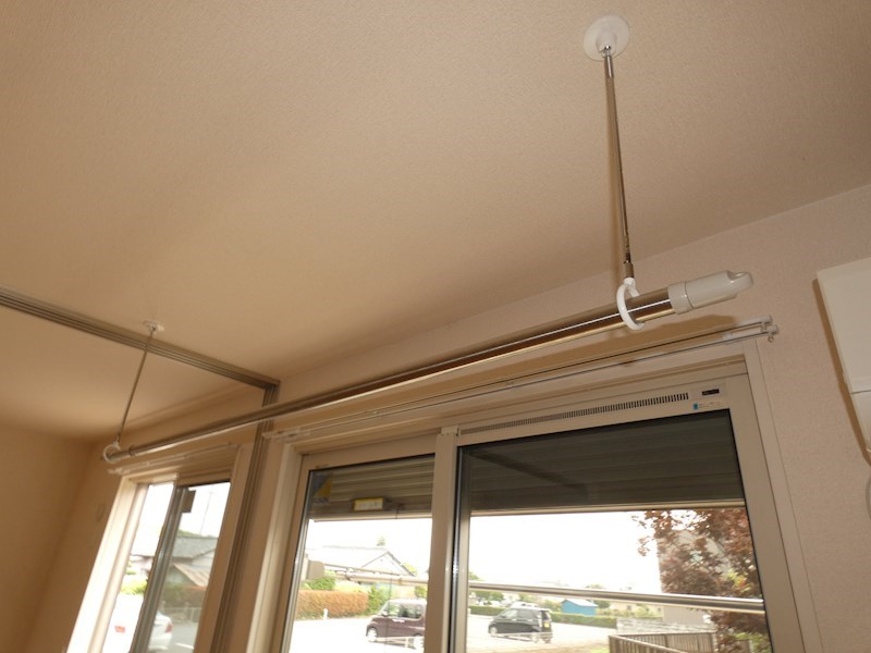 モン　シュシュ　カツラ その他5