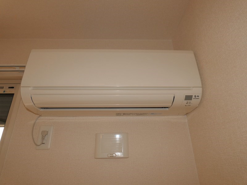 モン　シュシュ　カツラ その他8