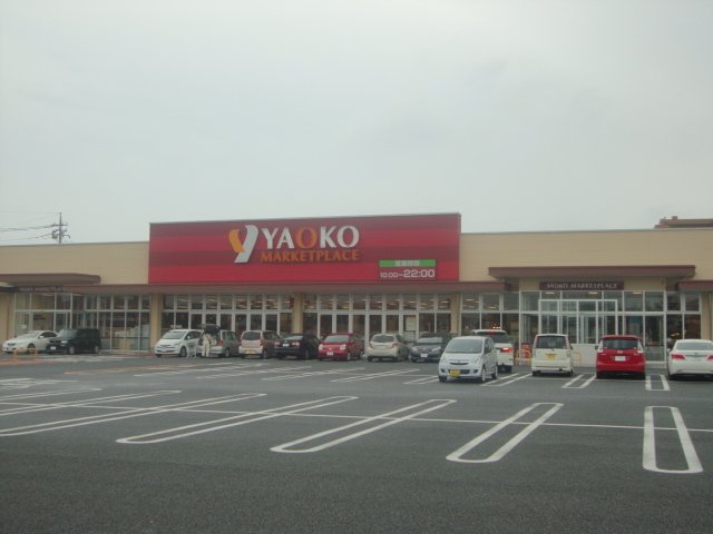 その他16