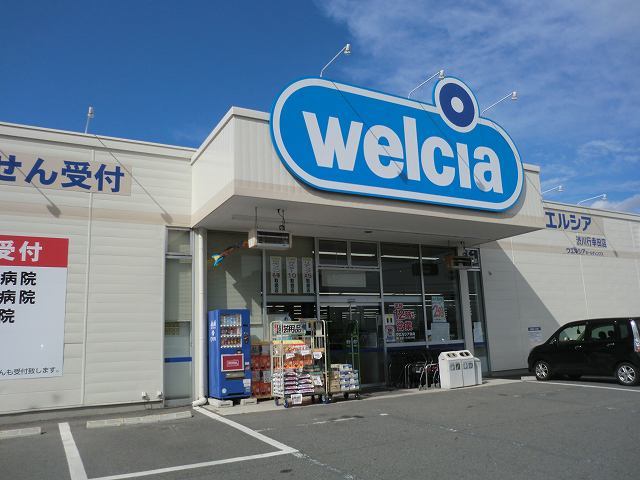 シードリーム その他外観4