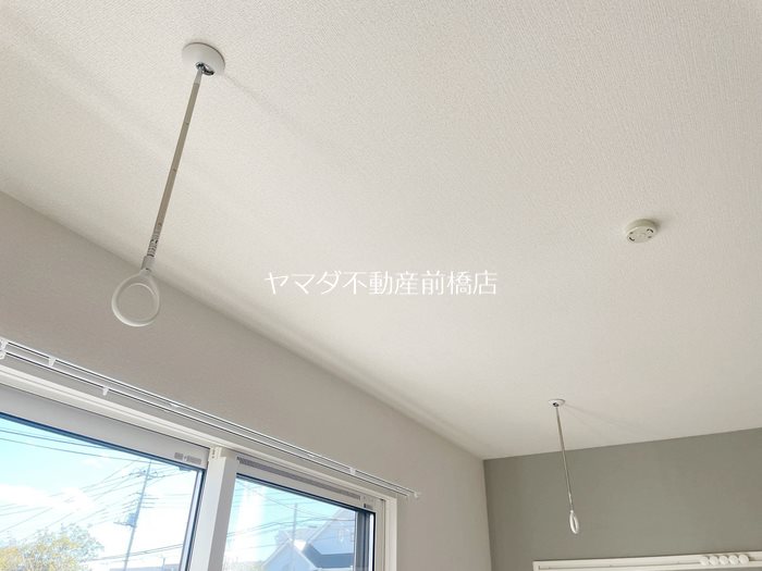 アナベルⅡ その他3