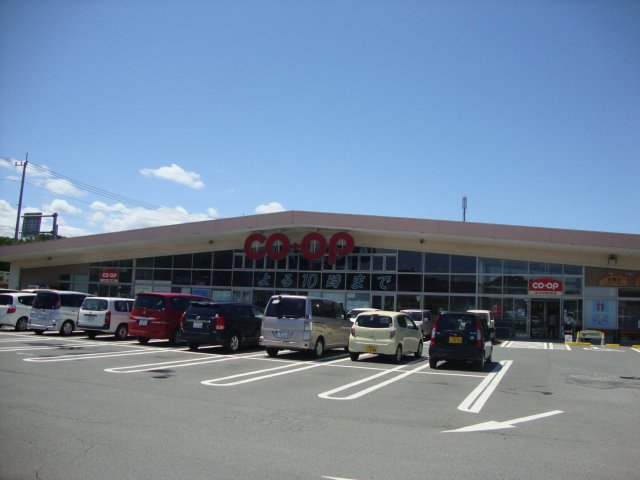 その他15