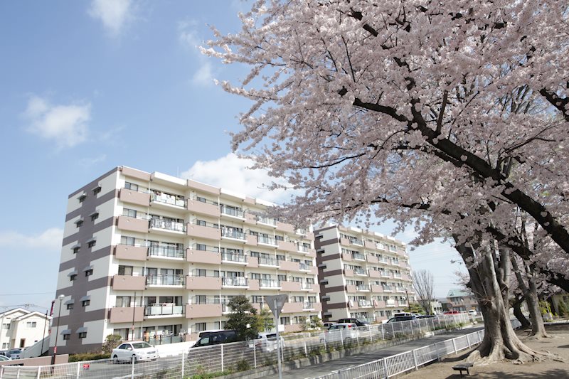 公園からの木々で四季折々楽しめます。