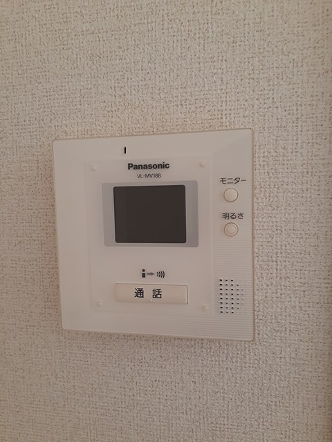 ＥＶＥＲＧＲＥＥＮ　Ｍ．Ｔ． その他5