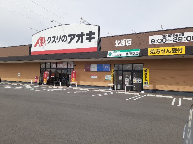 ＥＶＥＲＧＲＥＥＮ　Ｍ．Ｔ． その他外観1