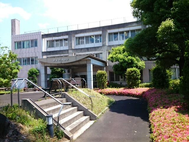 ＥＶＥＲＧＲＥＥＮ　Ｍ．Ｔ． その他外観4