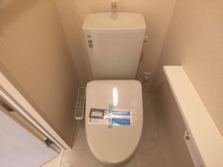 ルビーD  その他3