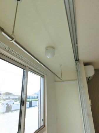 ルビーD  その他6