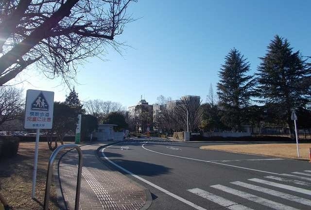 クリスタル　パレス その他外観5