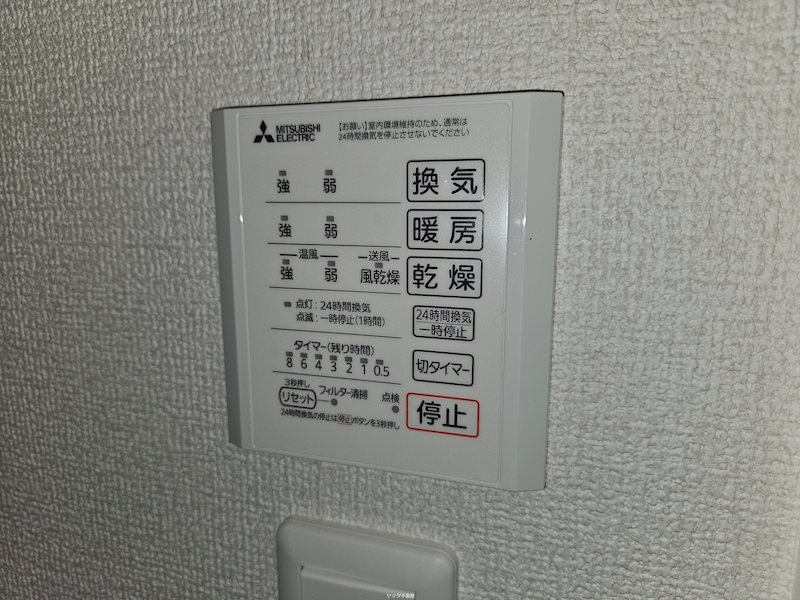 アナベル３ その他5