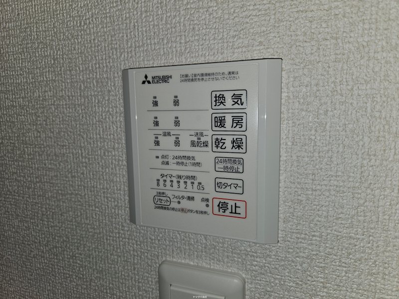アナベル３ その他5