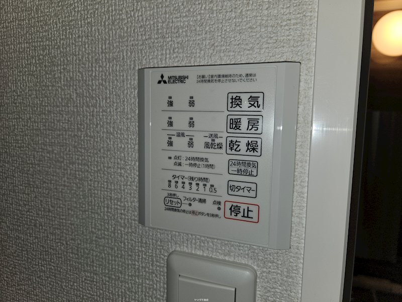 アナベル３ その他5