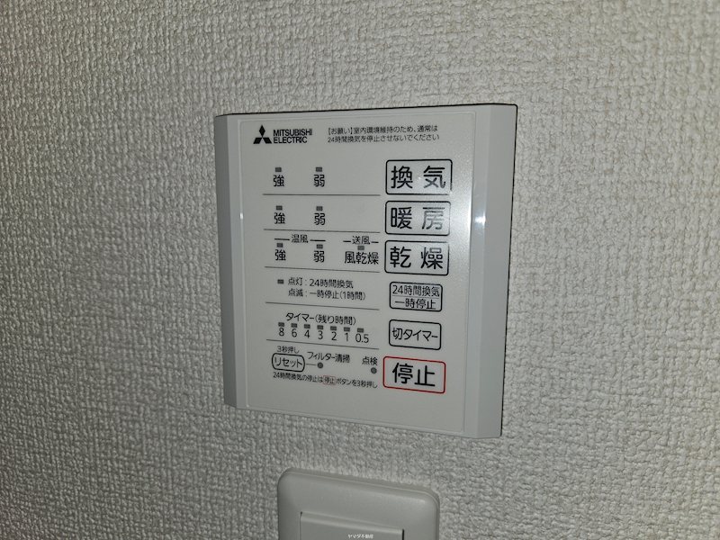 アナベル３ その他5