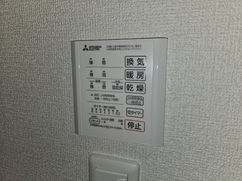 アナベル３ その他5