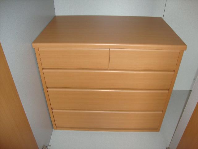 アプリコット その他8