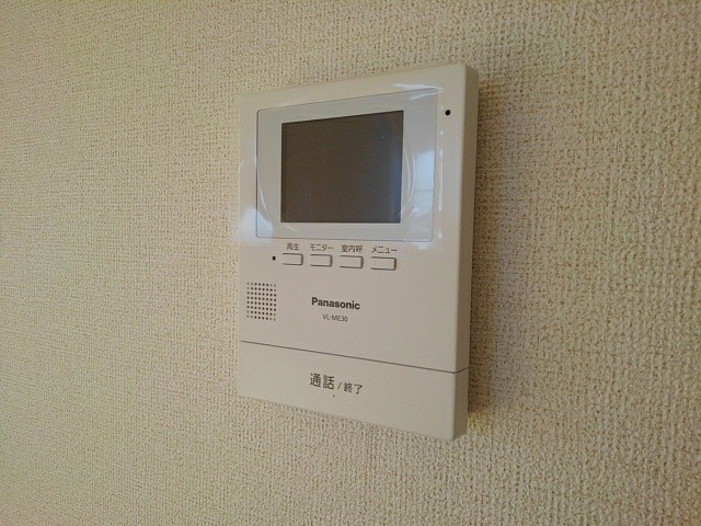ファレノプシス その他6