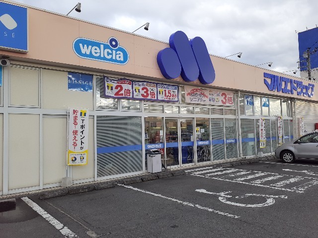 ファレノプシス その他外観2