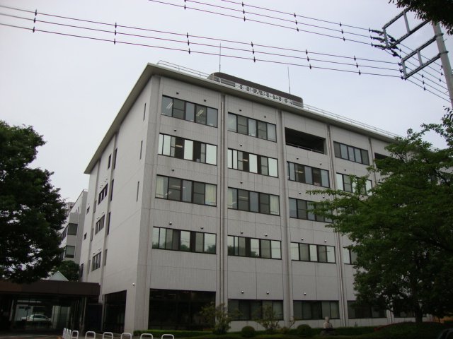 その他15